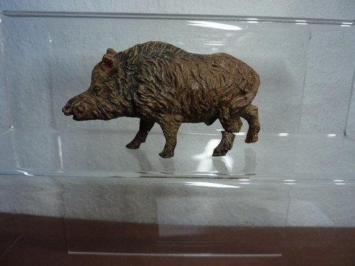 Wildschwein aus den 30er