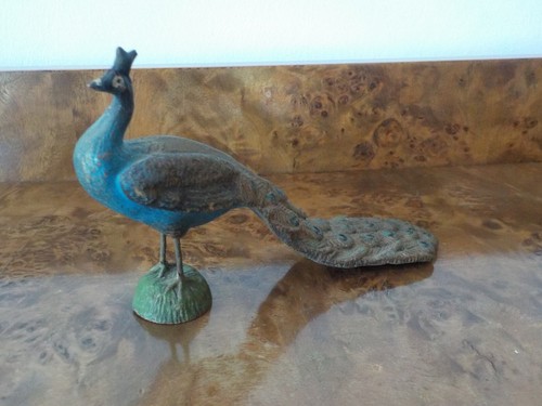Schöner pfau cm lang - ca.,