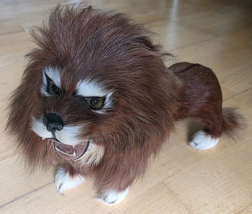 Echtfell taxidermie löwe - echtfell,