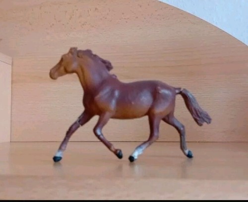 Masse pferd trabend - pferd,
