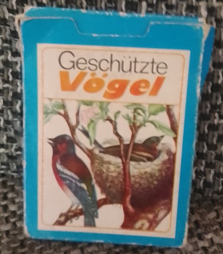 Geschützte vögel - geschützte,