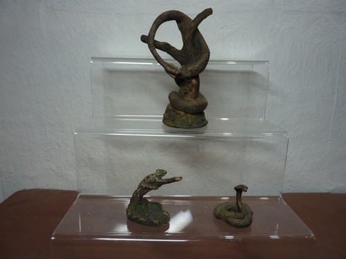 Seltene reptilien von - 3,