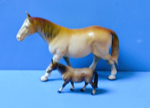 Schöne ausdrucksstarke - 2,